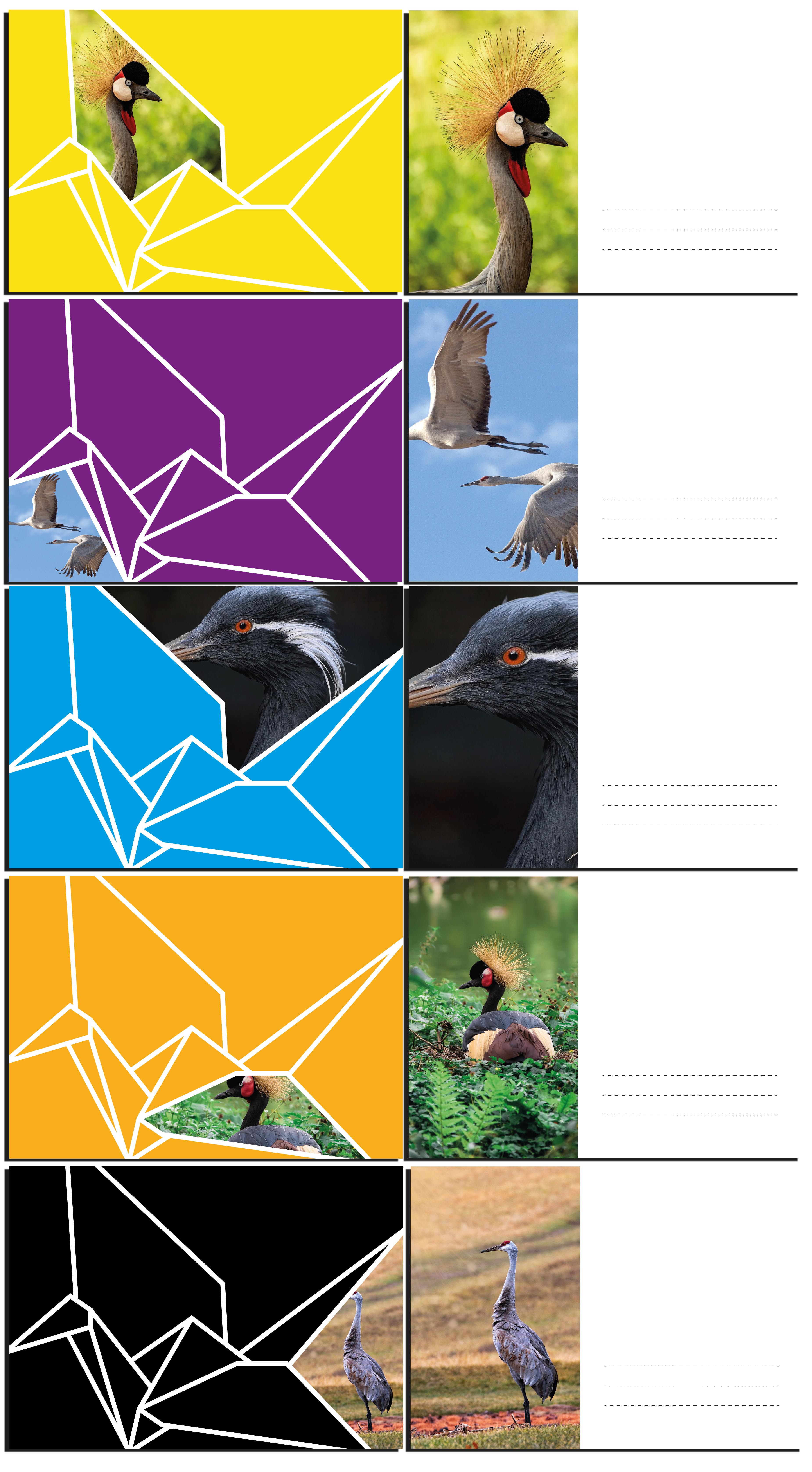 300x300